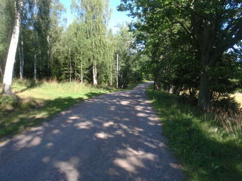 The dirt road that we follow to the highway bridge.